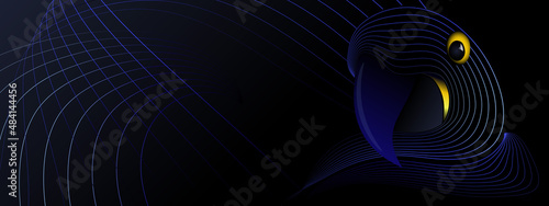 parrot hyacinth macaw line geometry blue yellow bird background wing fly horizontal banner fine lines 