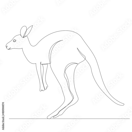 kangaroo one line drawing  vector  isolated