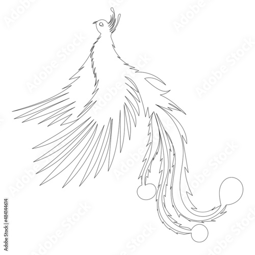 firebird one line drawing ,vector, isolated