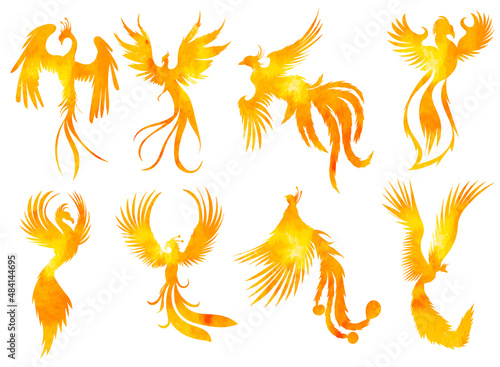 set of bird phoenix watercolor silhouette ,on white background, vector