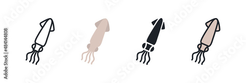 Squid icon. Linear flat color icons contour shape outline. Black isolated silhouette. Fill solid icon. Modern glyph design. Set of vector illustrations. Meat products fish and sea food. Marine life