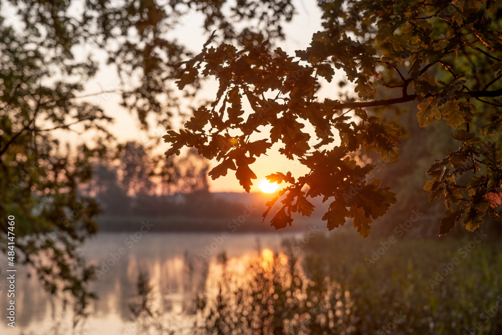 Sunrise at the lake. Sun shines through the trees