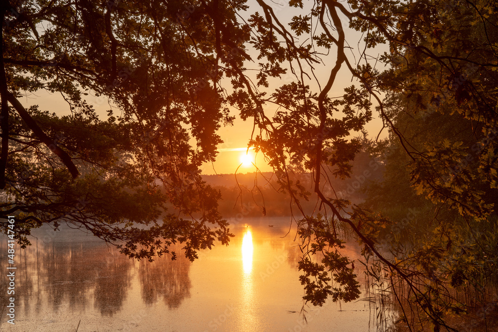 Sunrise at the lake. Sun shines through the trees Sunrise at the lake. Sun shines through the trees