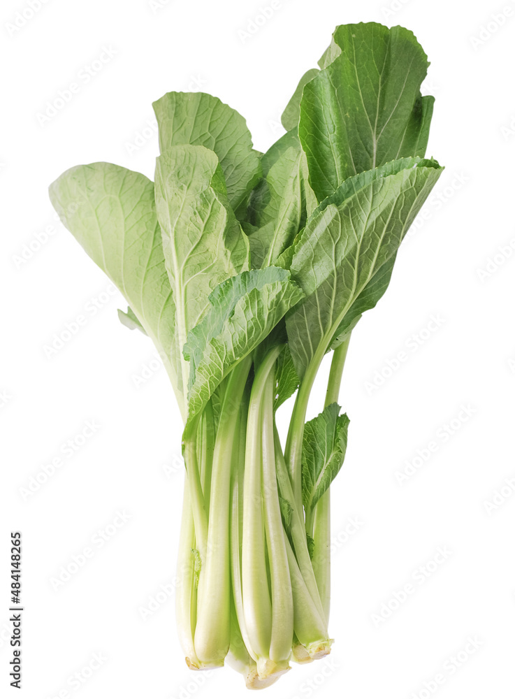 collard greens leaves on white background collard greens leaves on white background