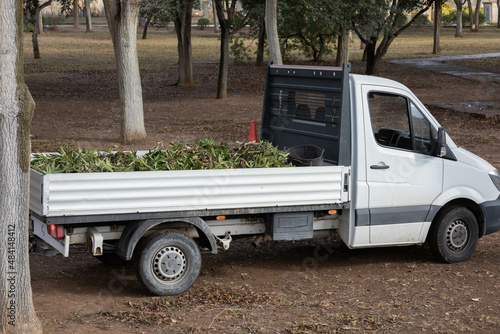 Branches in the pick up to be transported to the deposit of branches