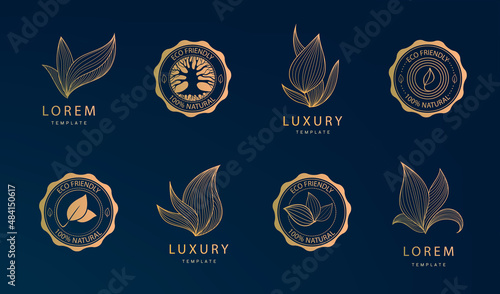 Vector plant, eco nature logo set. Round emblem leaves, tree in a circle linear style. Badge for products, cosmetics, ecology concepts, health, spa, yoga design