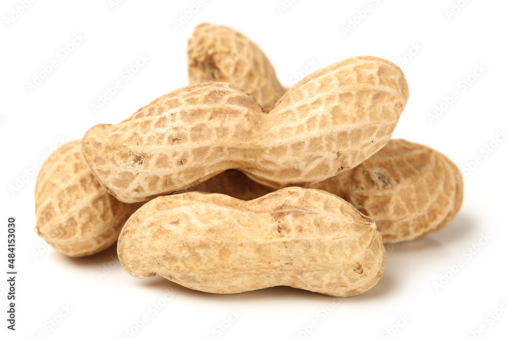 Peanuts on a white background Peanuts on a white background