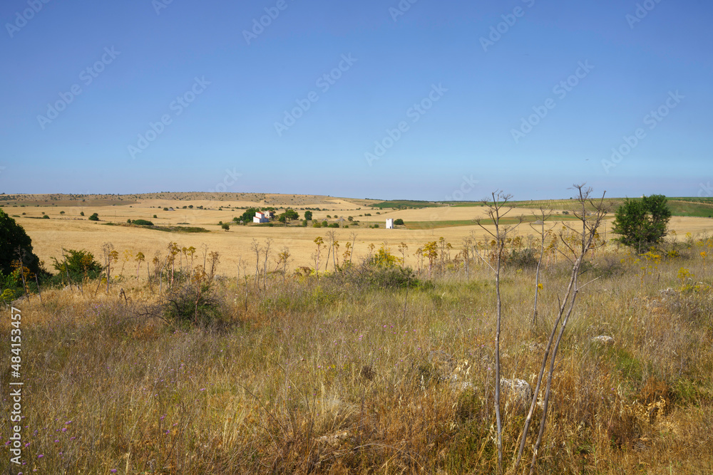 Rural landscape in Murge, Apulia, near Minervino