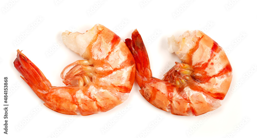 shrimps on a white background