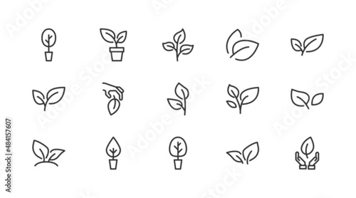 Premium pack of plant  line icons.