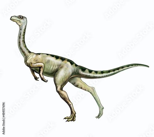Ornithomimus, dinosaur photo