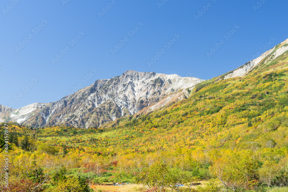 栂池高原からみる白馬岳と黄色の紅葉