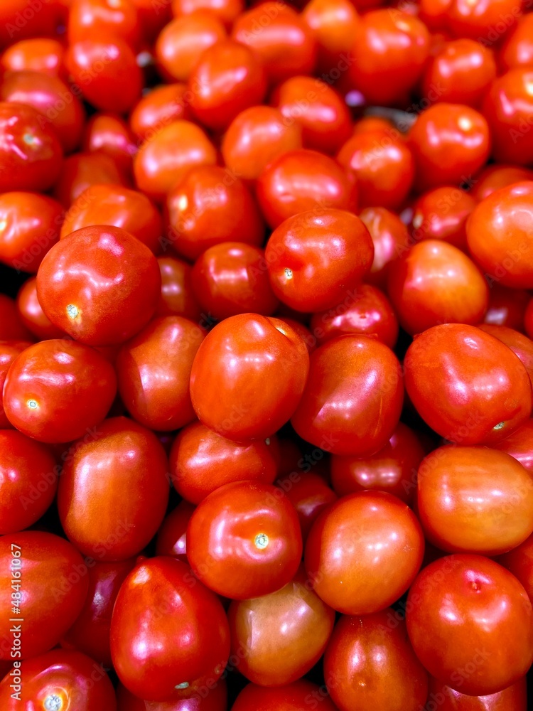 tomatoes on the vine tomatoes on the vine