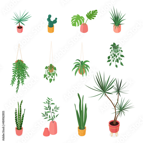 Set of isometric potted plant. Vector collection. Illustration in flat design.
