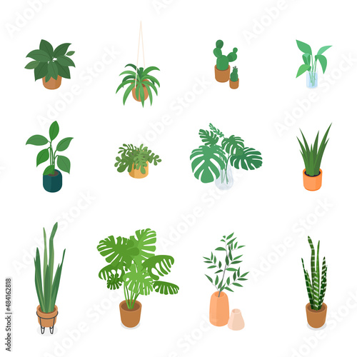 Set of isometric potted plant. Vector collection. Illustration in flat design.
