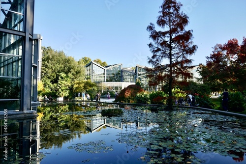 Botanic Gardens, Frankfurt