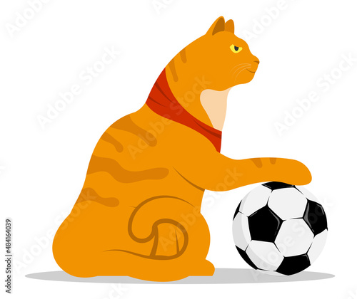 strong, confident street cat put his paw on a sports soccer ball. Challenges an opponent. Cartoon red tabby cat isolated on white background