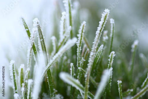 Winter background, morning frost on the grass