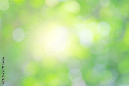 Nature bokeh blur green leaf and light abstract background with sunlight and green tree, spring or summer background