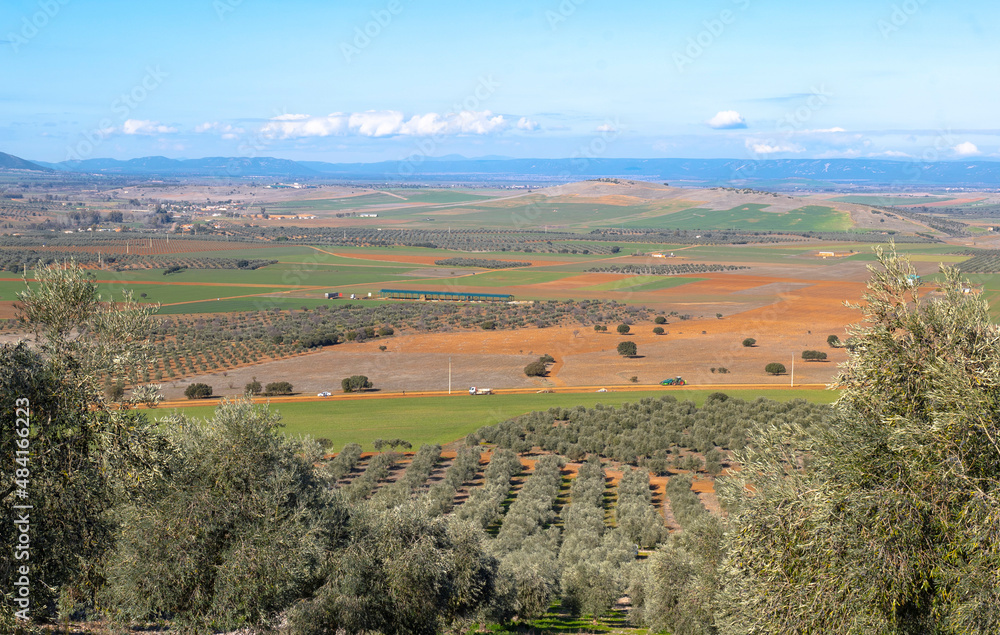 Manzanares, C Real-Spain: January 10, 2020: olive groves and cultivated plains