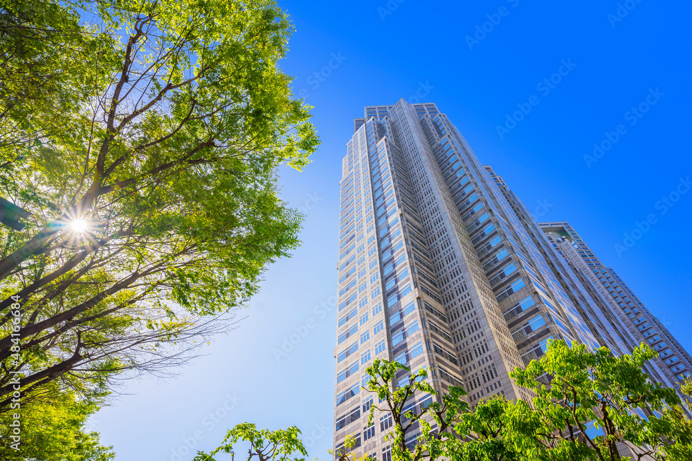 Obraz premium ビル 未来イメージ 都会風景 ビル群 新宿 新宿副都心 新緑 ガラス 写り込み 反射