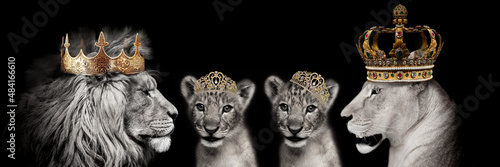 Lions with crown's urban artwork of wildlife on playing cards 