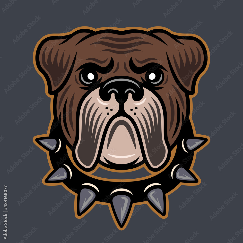 Bulldog head in spiked collar vector illustration in colored style isolated on gray background