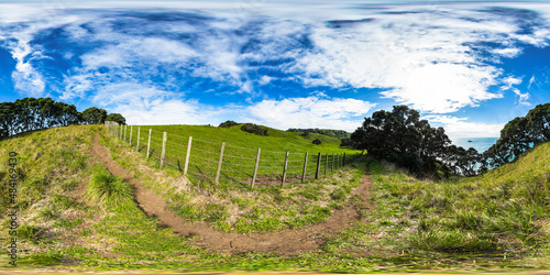 Walkway along the Cliffs - Whiritoa - Coromandel Peninsula - Waikato - New Zealand photo