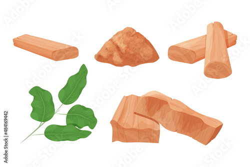 Set Chandan or sandalwood pieces, dried powder aromatherapy ingredient detailed in cartoon style isolated on white background. Cut part, close up, medical plant.