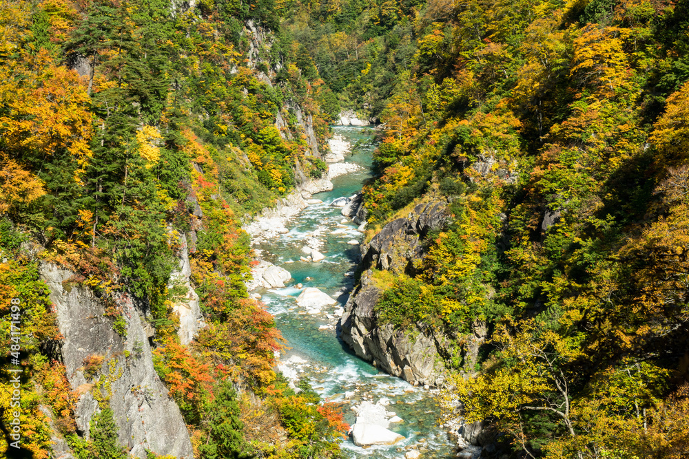 紅葉の黒部峡谷