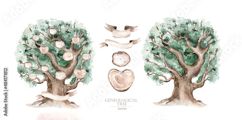 Watercolor Genealogical Family tree. Watercolor children's tree botanical season isolated illustration. olive, oak and cypress. Green forest ecology branch and leaves. photo