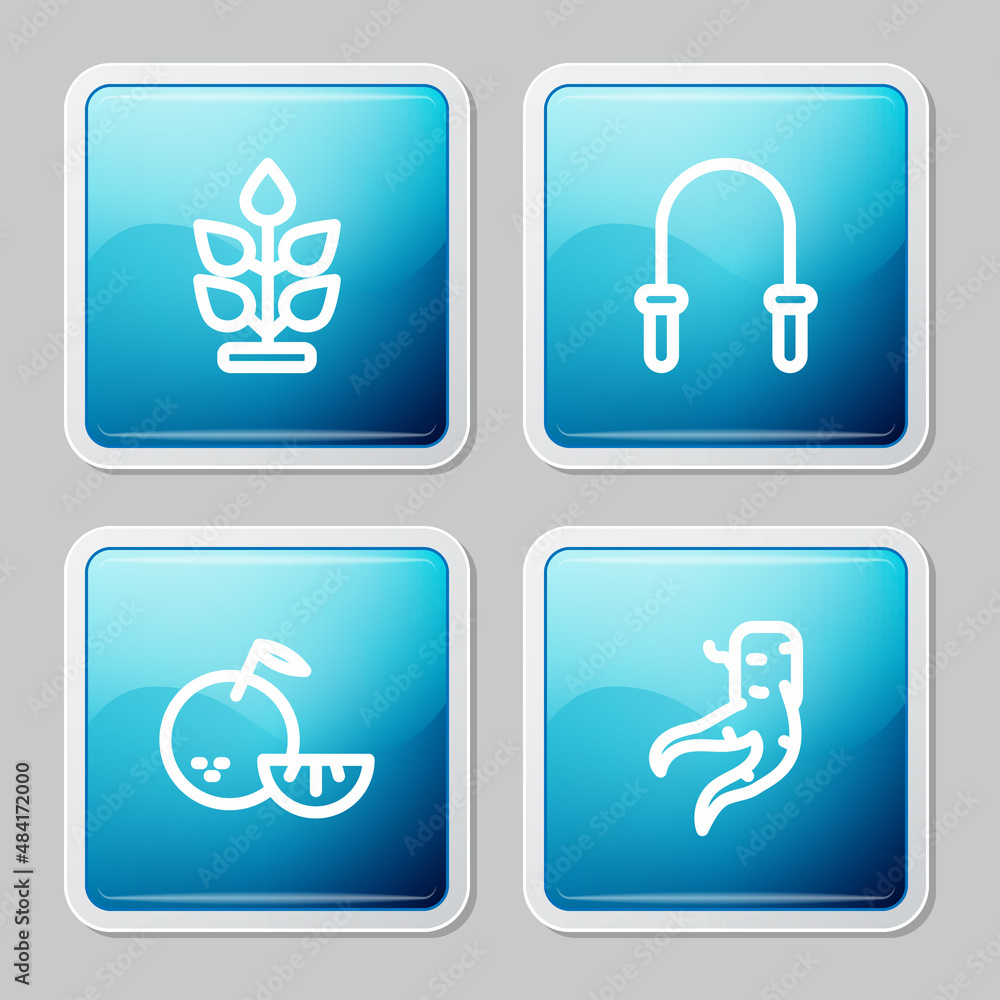 Set line Plant, Jump rope, Citrus fruit and Ginger root icon. Vector Set line Plant, Jump rope, Citrus fruit and Ginger root icon. Vector