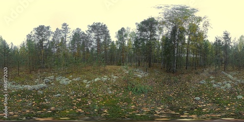 360 view of autumn deciduous and coniferous forest in Nizhniy Novgorod Russia 2018 #3 photo