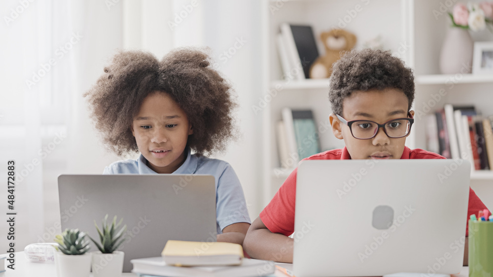 Two curious kids studying together on laptops enjoying learning process, smiling Two curious kids studying together on laptops enjoying learning process, smiling