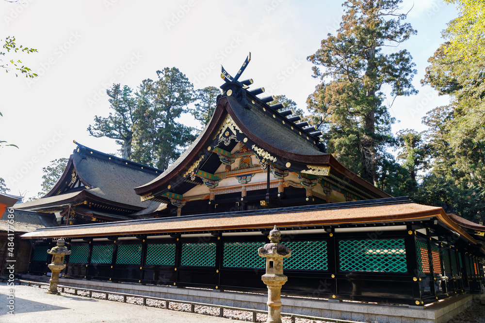 Fototapeta premium 香取神宮、本殿と拝殿と囲う漆塗りの黒と緑の瑞垣