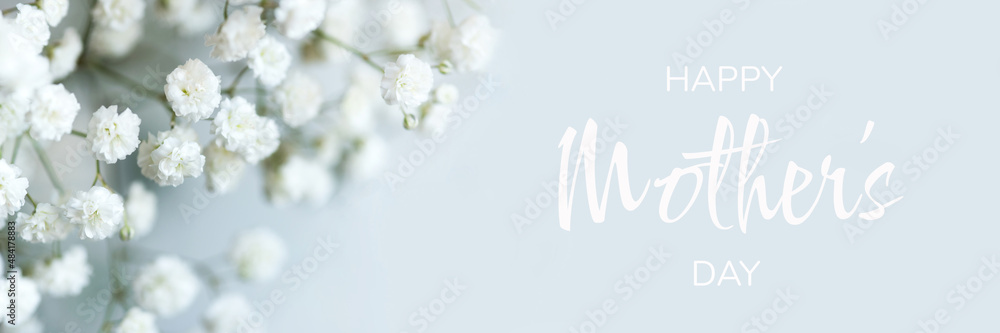 White flowers of the gypsophila. Gentle spring background. White flowers of the gypsophila. Gentle spring background.