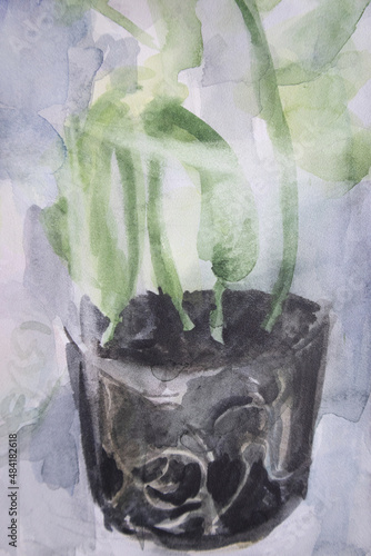 Increasing young plant with roots. Seedlings in transparent pot. Springtime artwork. Pumpkin seedlings watercolor painting. ESG concept. Chernozem illustration.