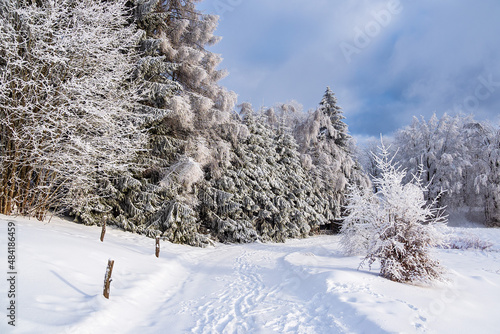 Landschaft im Winter im Thüringer Wald in der Nähe von Schmiedefeld am Rennsteig photo