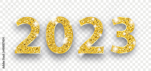 Photography 2023 Golden Glitter Transparent