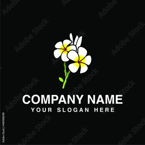 white frangipani flower logo