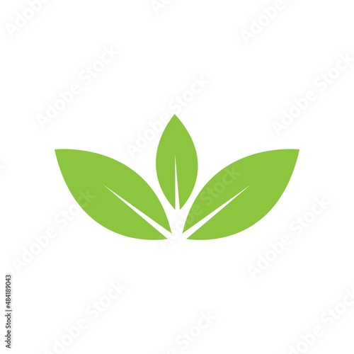 leaf logo icon vector design template © Tomi43