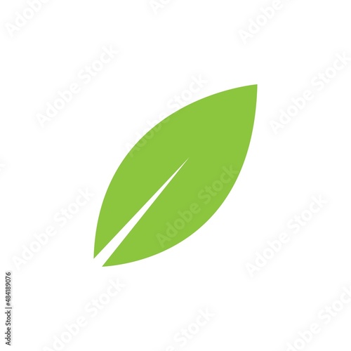 leaf logo icon vector design template