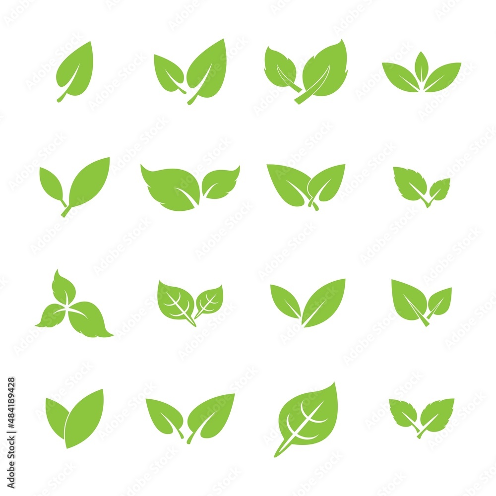 leaf logo icon vector design template leaf logo icon vector design template