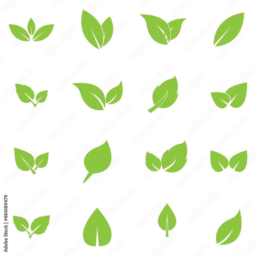 leaf logo icon vector design template leaf logo icon vector design template