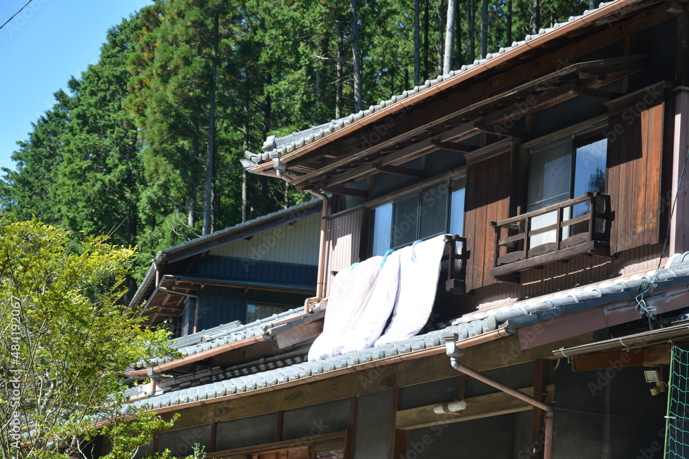 天日干し 天日干し