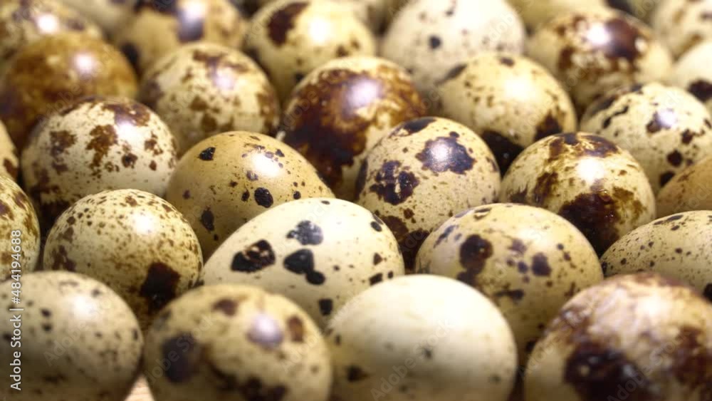 Quail eggs rotation background. Loop motion Quail eggs rotation background. Loop motion