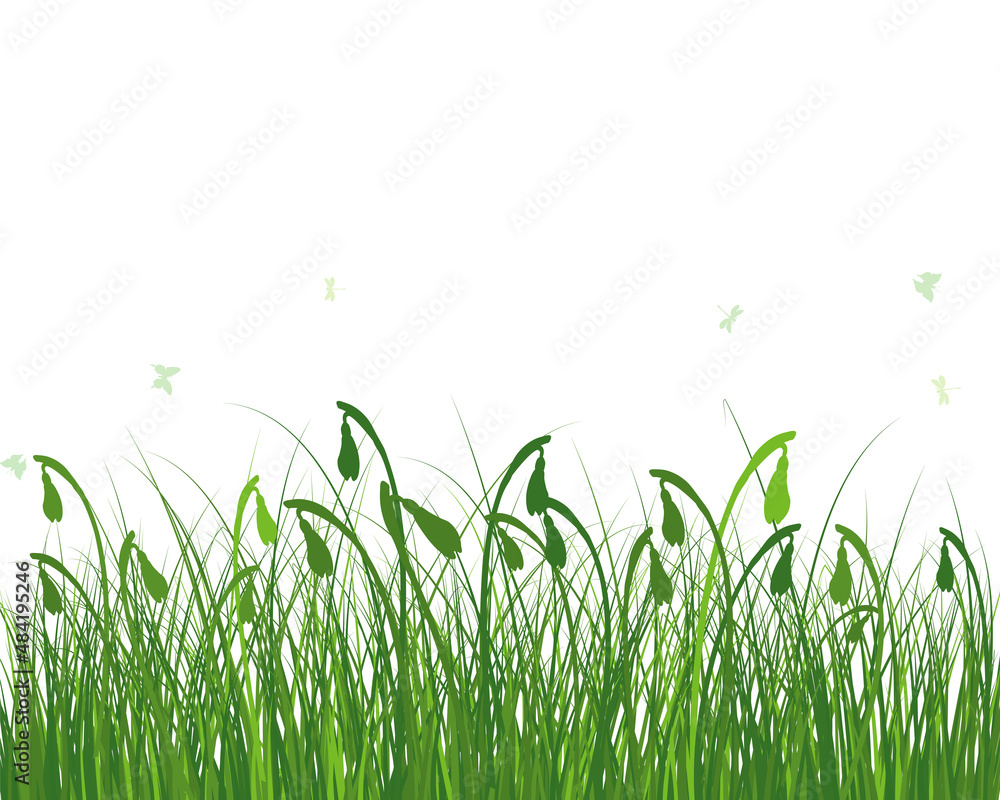 Fototapeta premium Green Grass Meadow