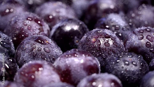 Fresh black grapes rotation background. Close up. Loop motion