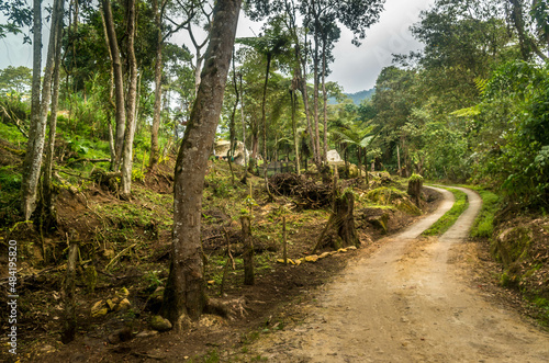 La jungle et forêt avec ses ponts sauvages de la vallée cocora dans le quindio en colombie photo