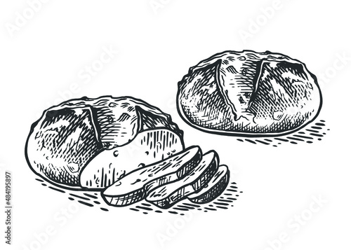 Bread vector hand drawn set illustration. Freshly sliced bread. Gluten food bakery engraved collection.